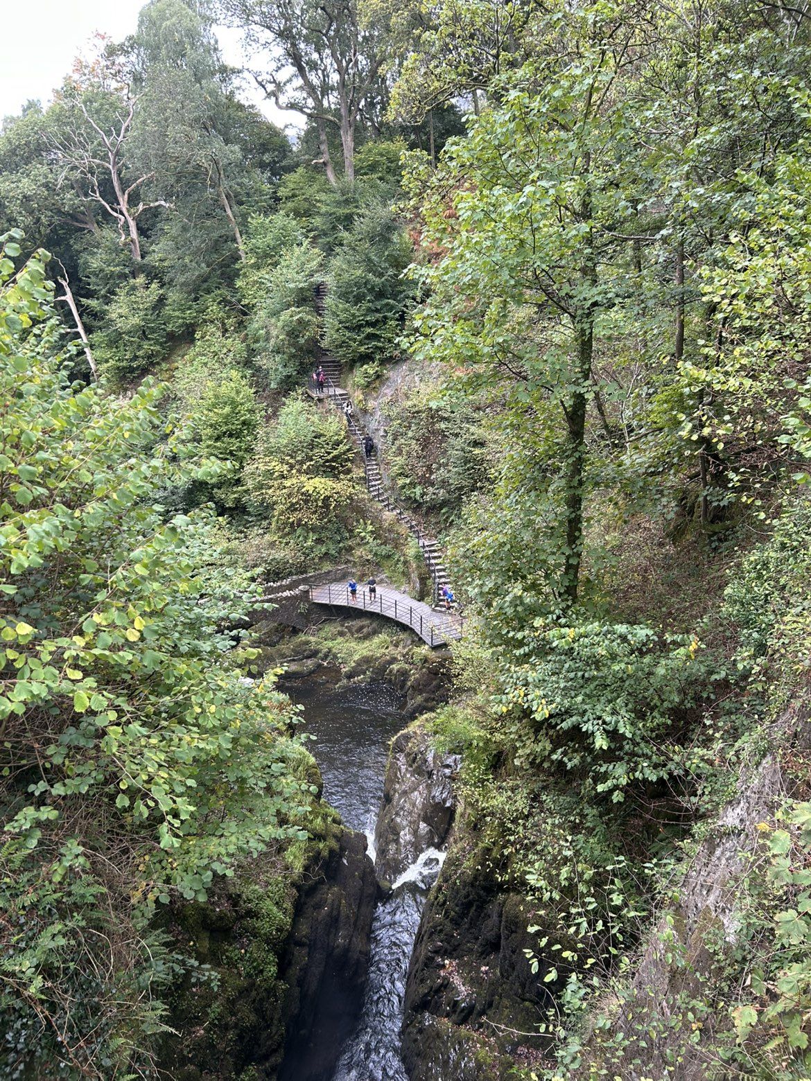 The upper bridge over the Aira Force gorge