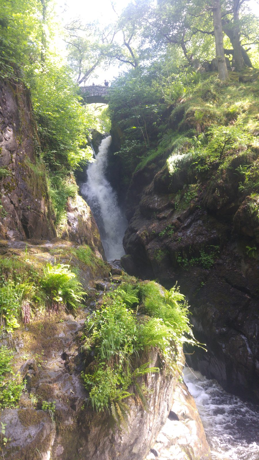 Aira Force waterfall dropping under its stone footbridge above Ullswater, Lake District