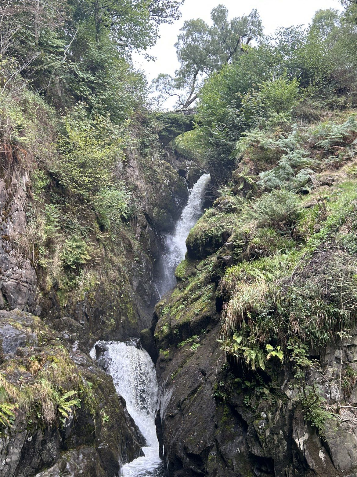 Aira Force, the full drop seen from the lower viewpoint