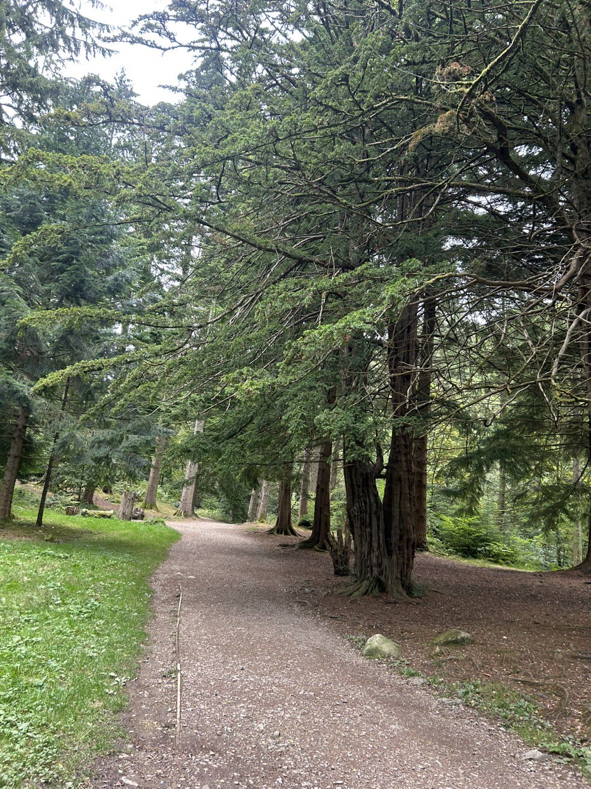 The path through the arboretum from the Aira Force car park