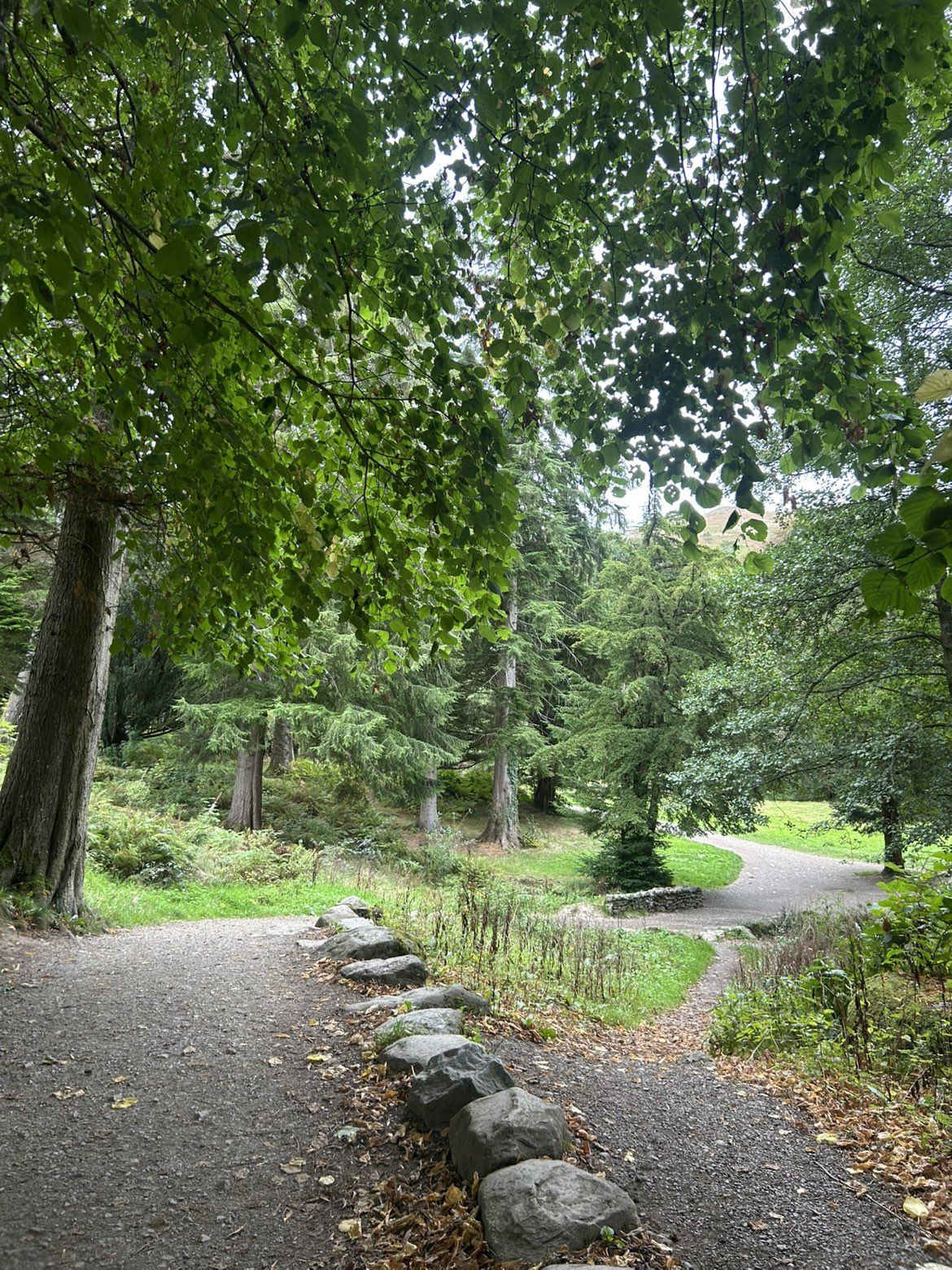 The path continuing through the Aira Force arboretum