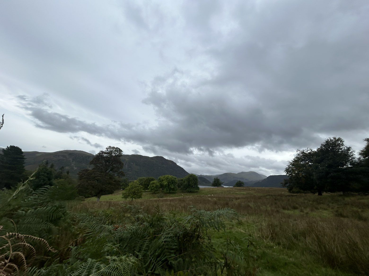 The view from the Aira Force paths