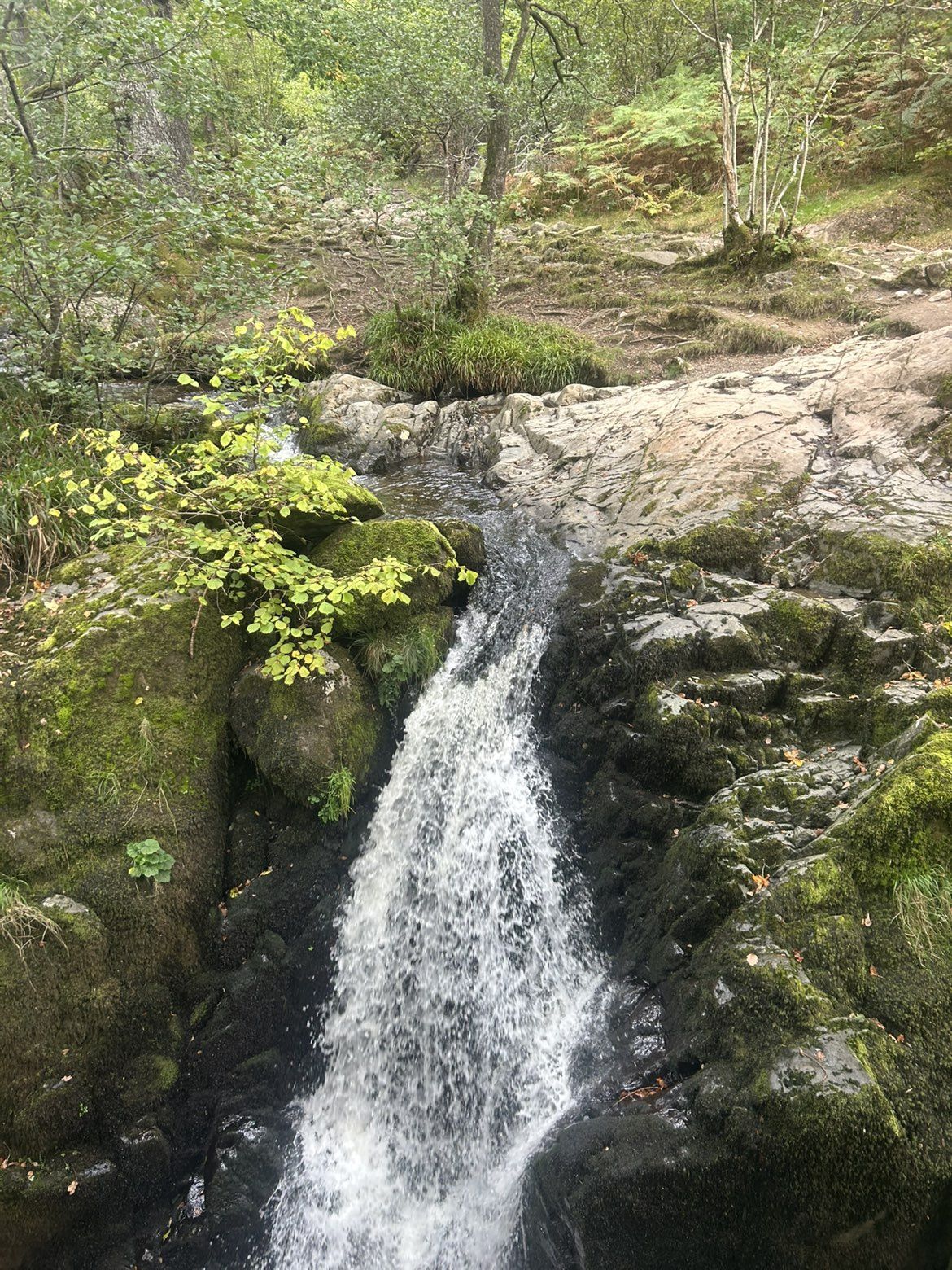 Aira Force falls seen from the line of the upper bridge