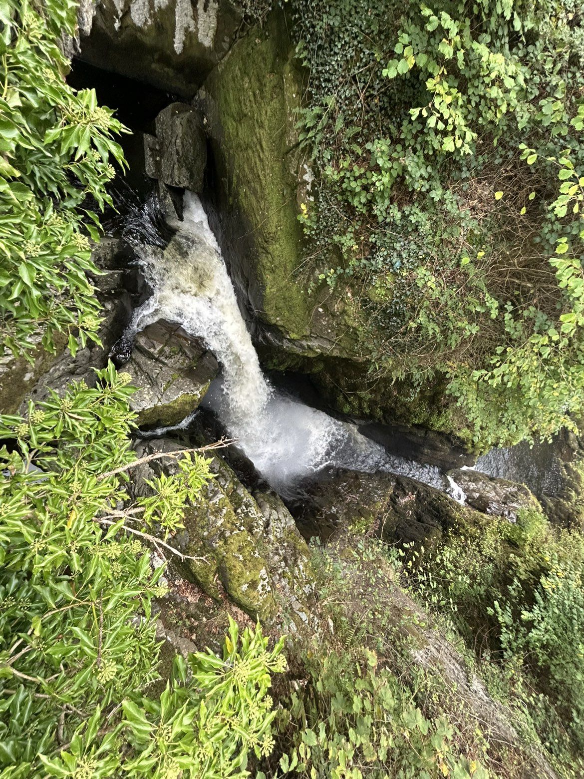 A section of the Aira Force gorge below the falls