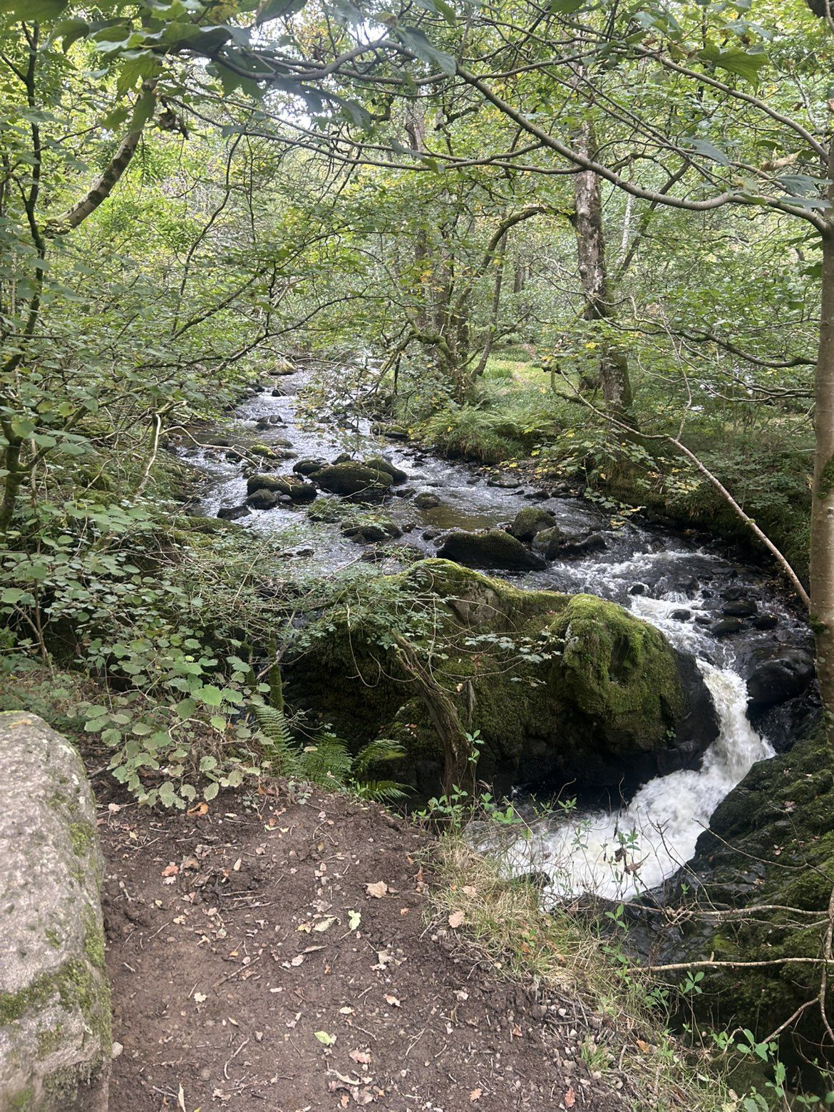 A section of Aira Beck in the gorge below the falls