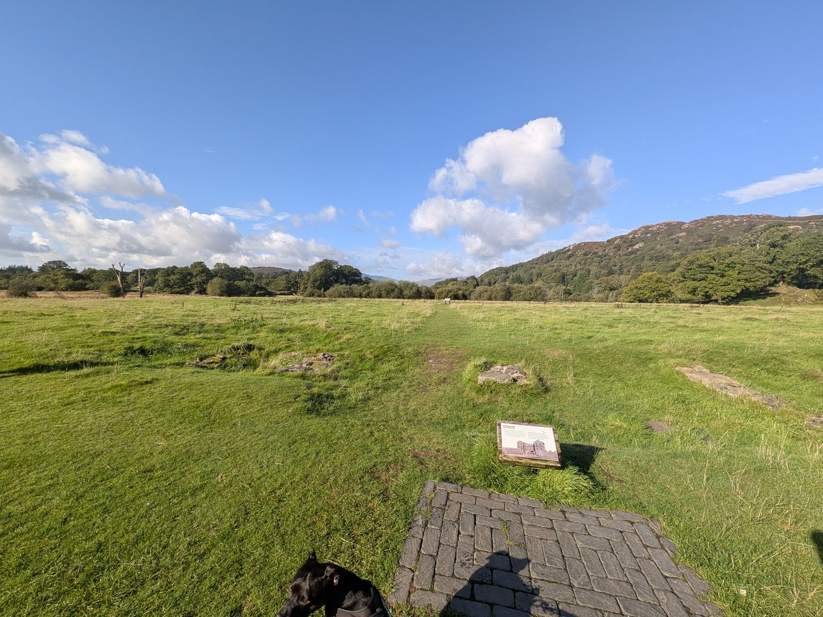 The main gate of Ambleside Roman Fort: a paved threshold and a plaque in the grass, with Cass, a black Staffordshire Bull Terrier, at the bottom of the frame