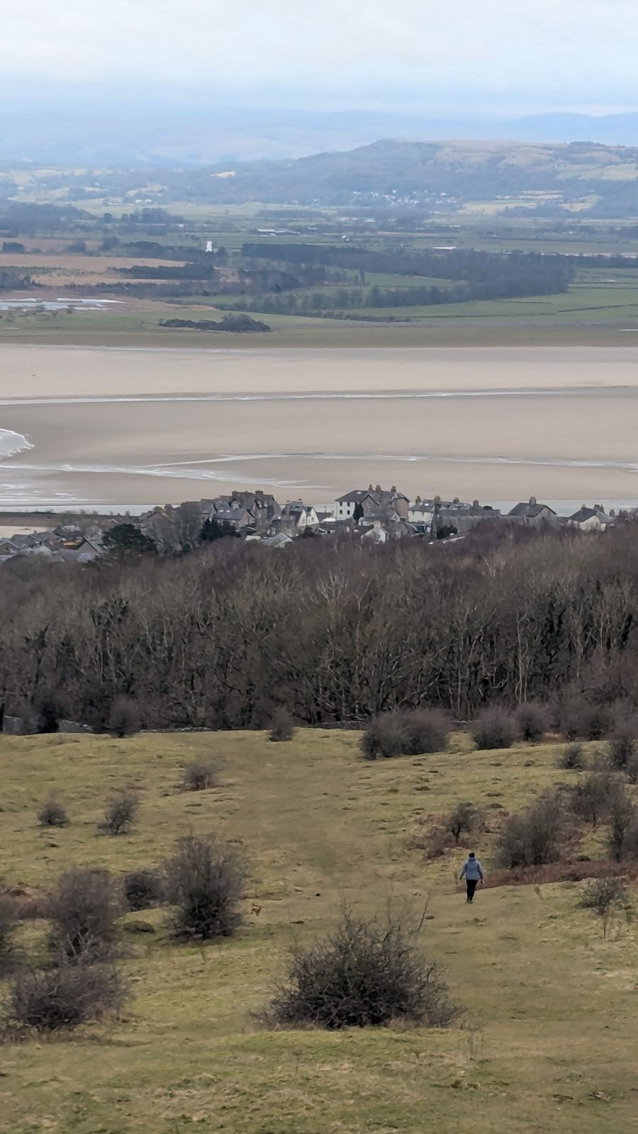 Arnside Knott and the view over Morecambe Bay to the Lakeland fells