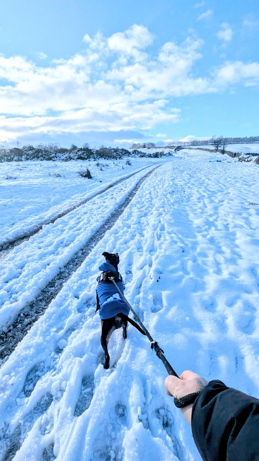 On Askham Fell