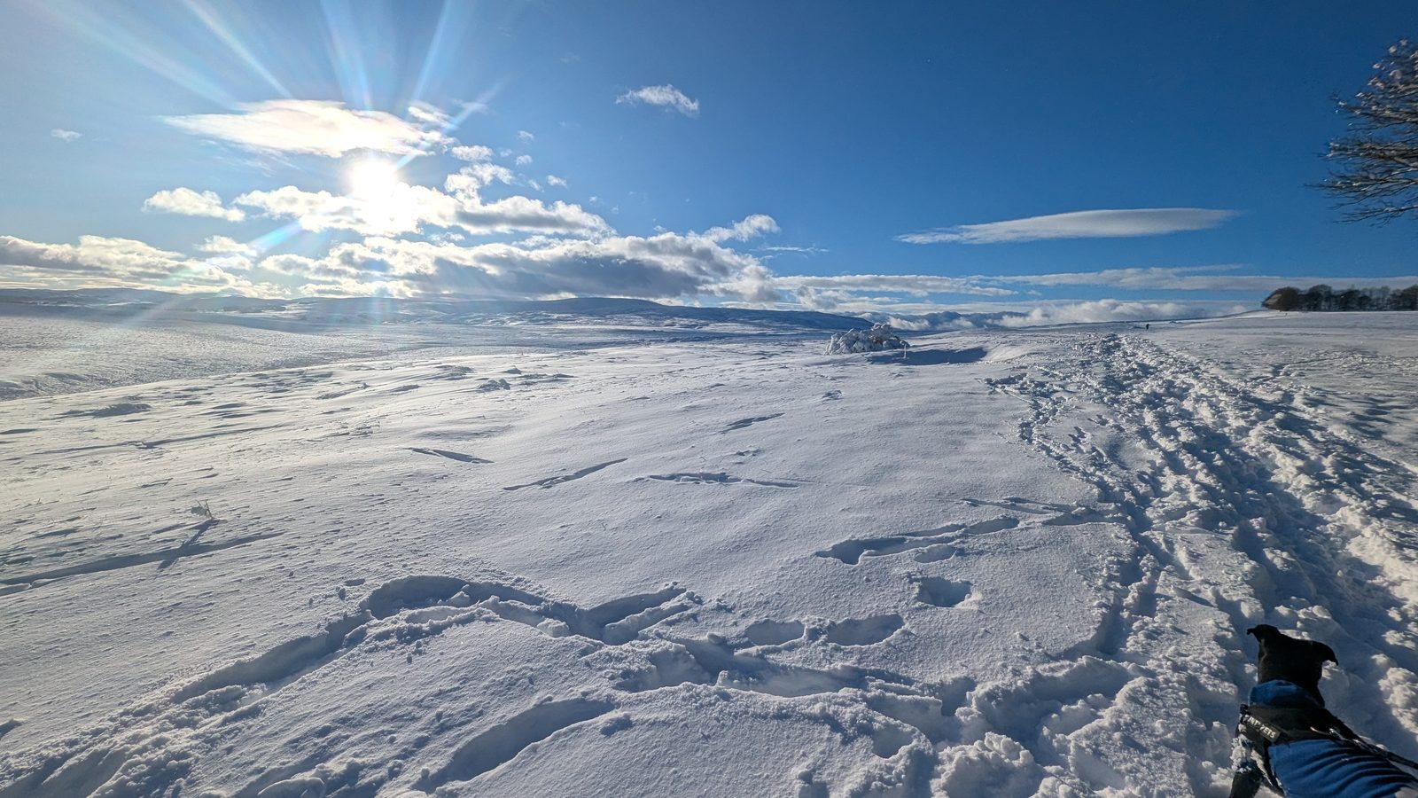 Askham Fell near Penrith