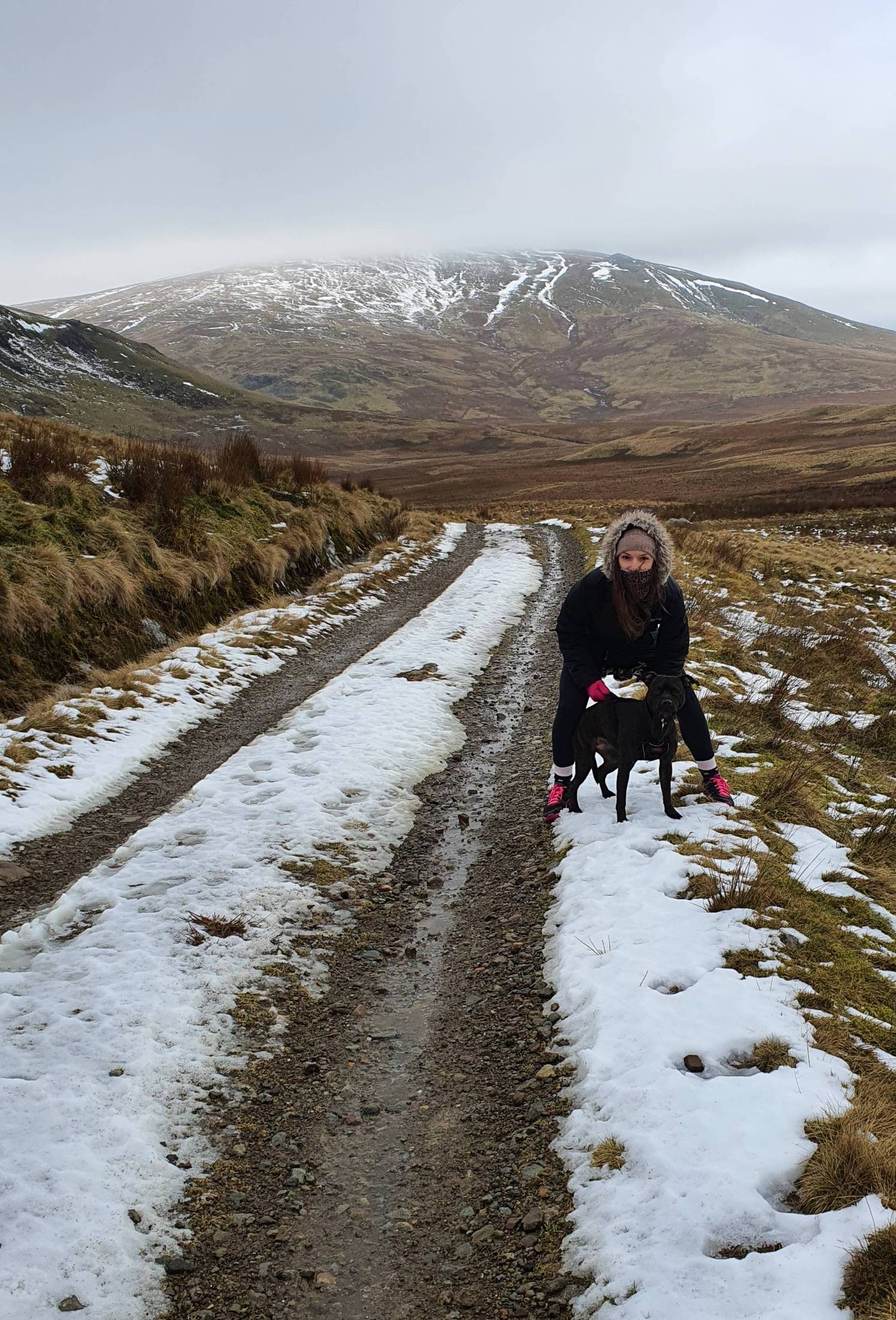 A walker and Cass the Staffordshire Bull Terrier on a snowy track below Blencathra, Lake District