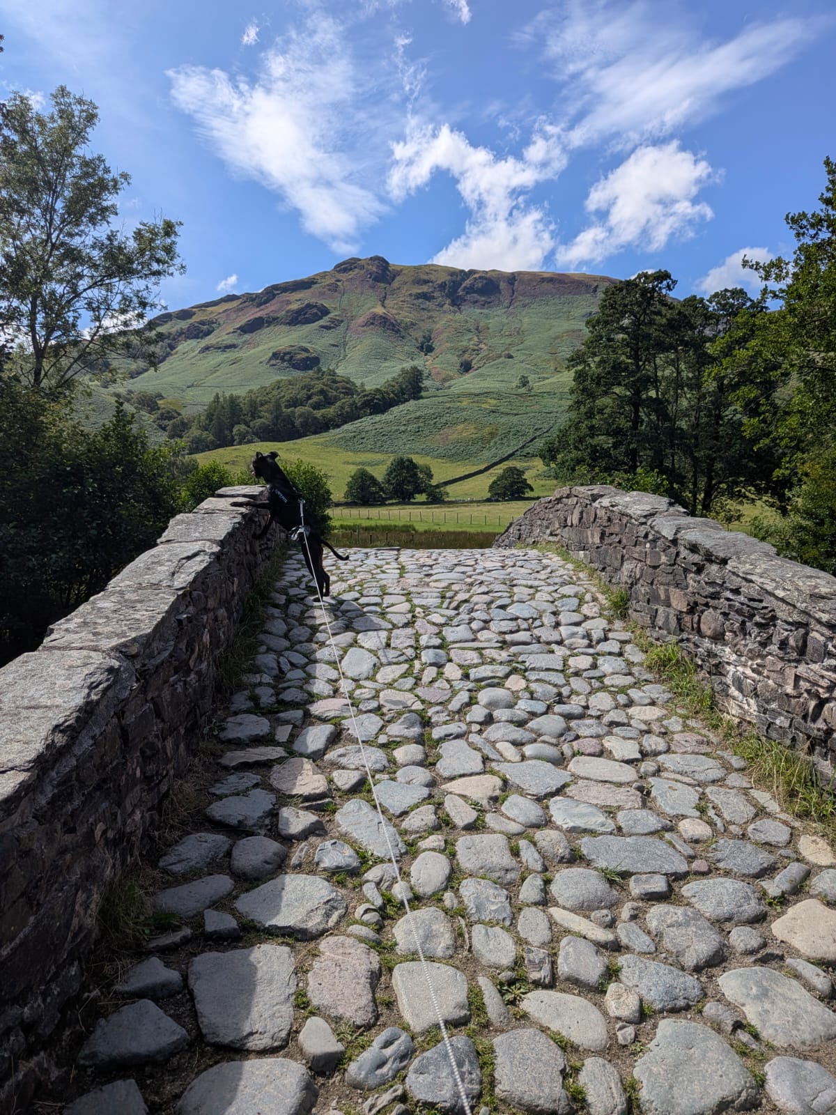 The cobbled deck of the packhorse bridge in Borrowdale, with a walker and dog crossing at the far end