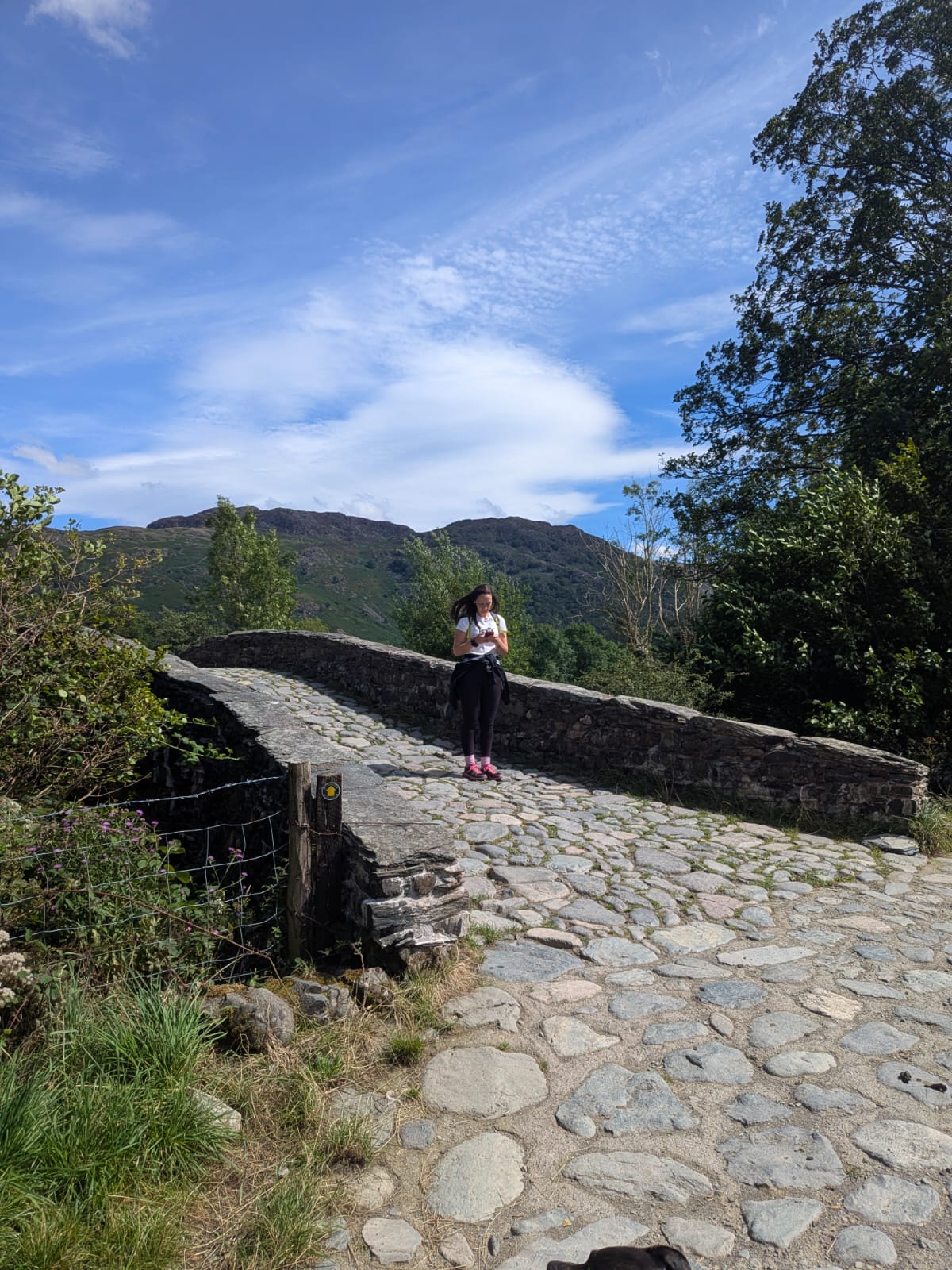 The cobbled packhorse bridge near Rosthwaite in Borrowdale, with the fells rising behind