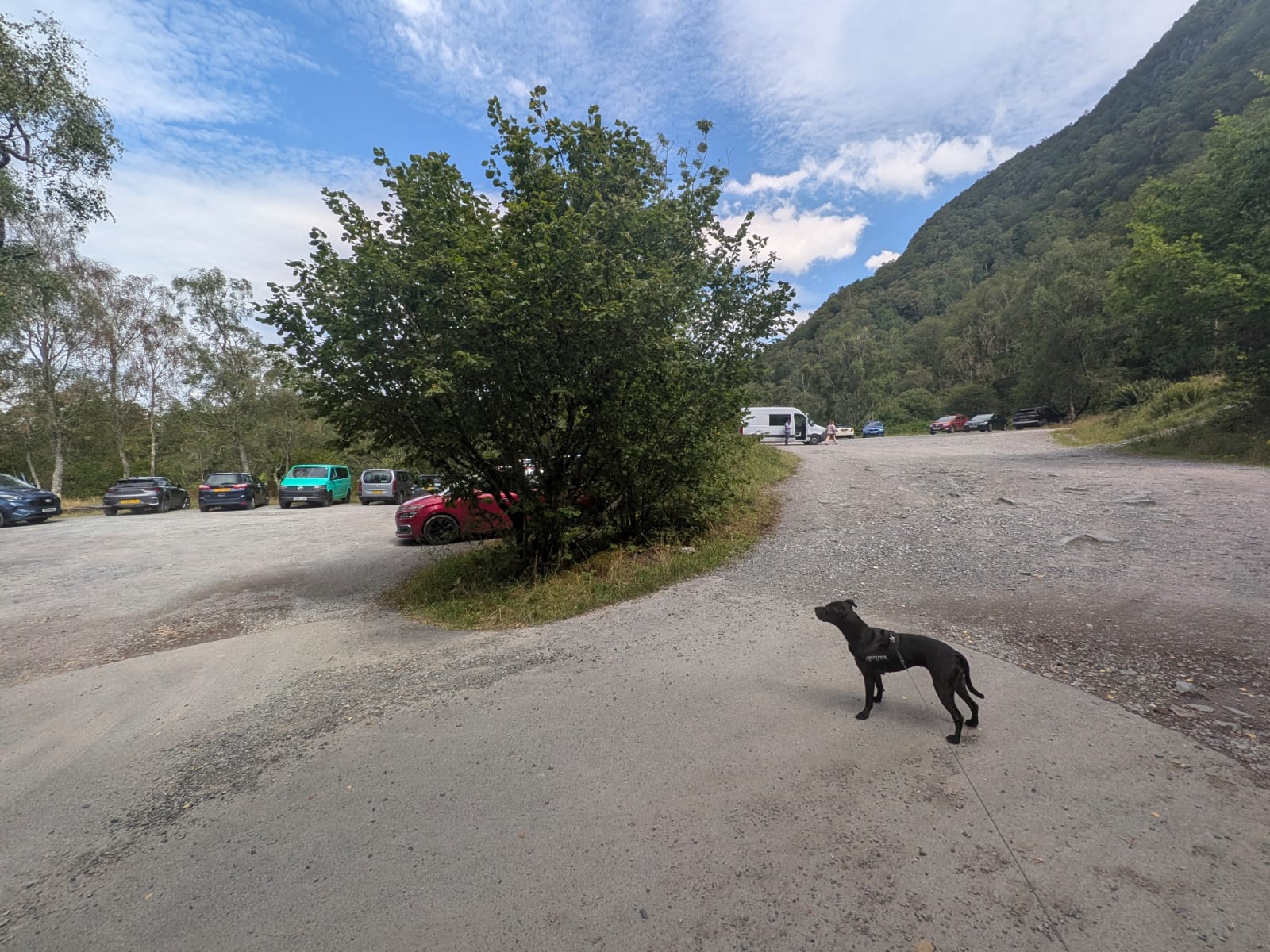 The National Trust Bowder Stone car park off the B5289 in Borrowdale, with cars parked under the fellside