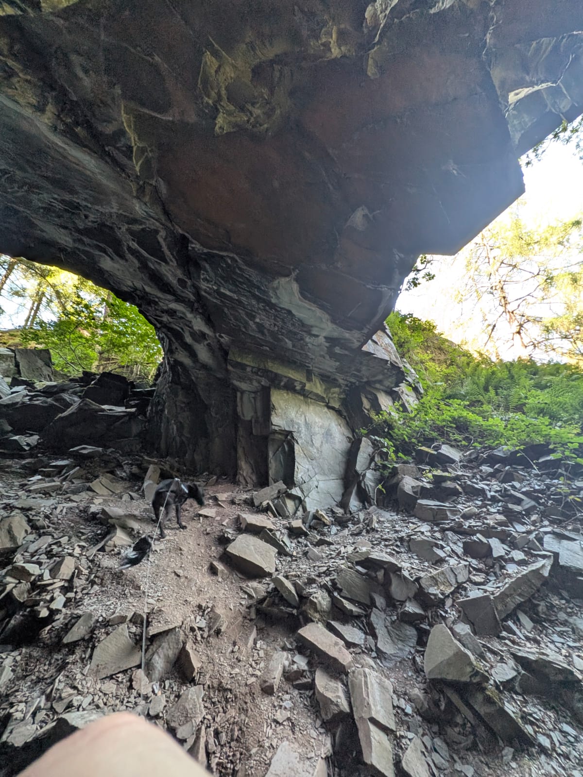 Looking out from inside the cave off the Borrowdale riverside path, with broken slate underfoot and trees beyond the mouth