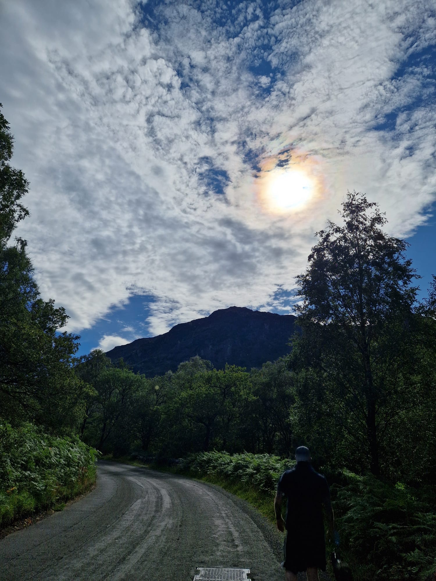 The valley road curving back from Grange towards the Bowder Stone car park through trees in Borrowdale