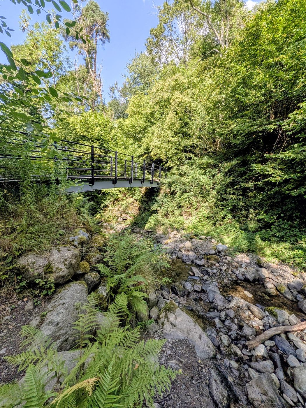 Footbridge over the rocky course of Brockle Beck in Springs Wood