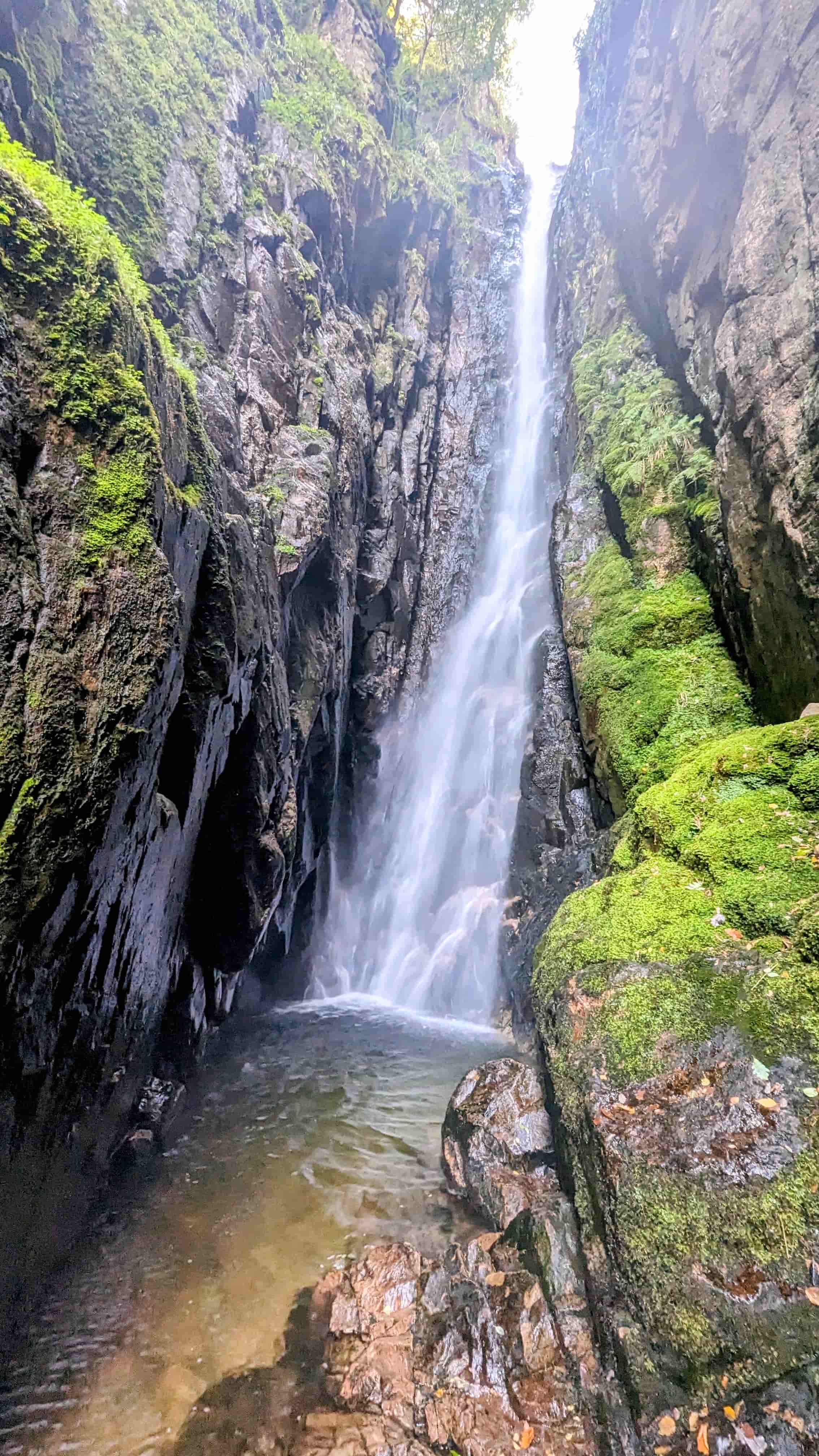 Scale Force, the Lake District's highest waterfall, in its wooded gorge above Crummock Water near Buttermere