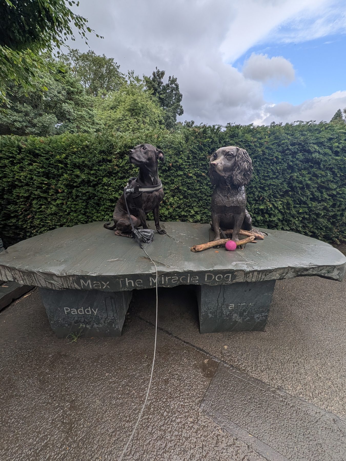 Cass, a Staffordshire Bull Terrier, beside the Max the Miracle Dog statue at Hope Park, Keswick