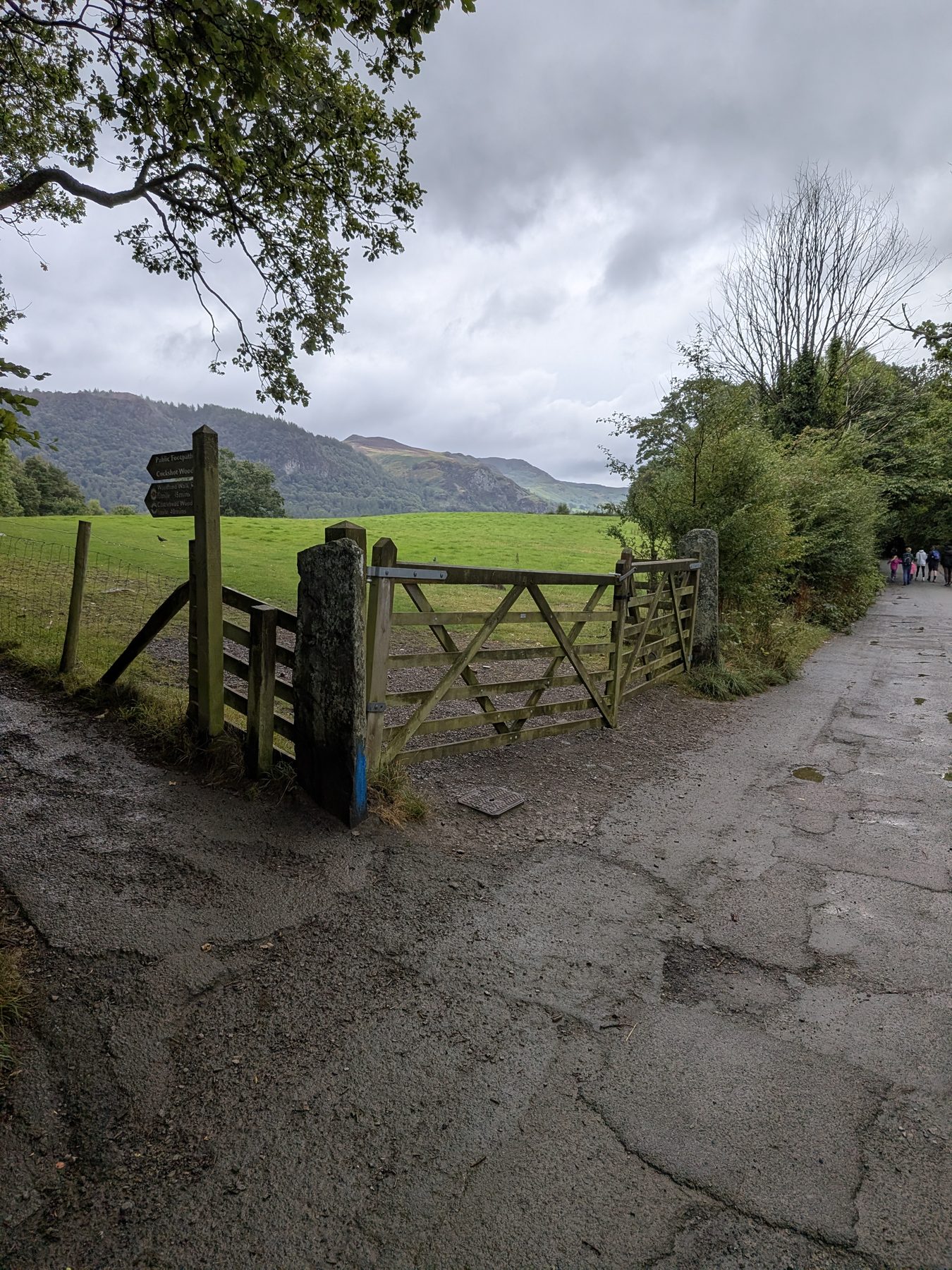 The path between the two farm gates towards Cockshot Wood on the Castle Head walk, Keswick