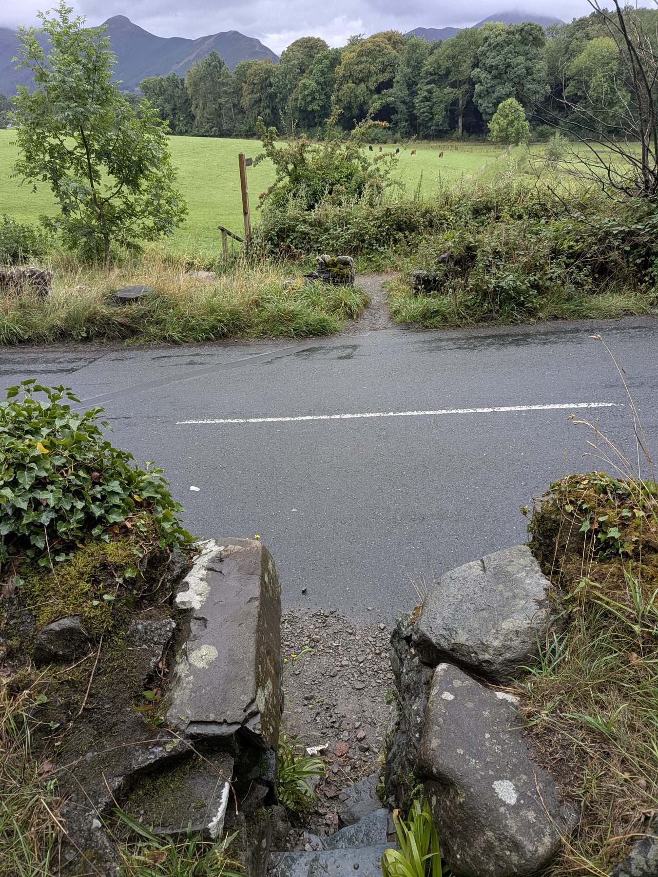 The stone stile through the wall at the Borrowdale Road crossing on the Castle Head walk, Keswick