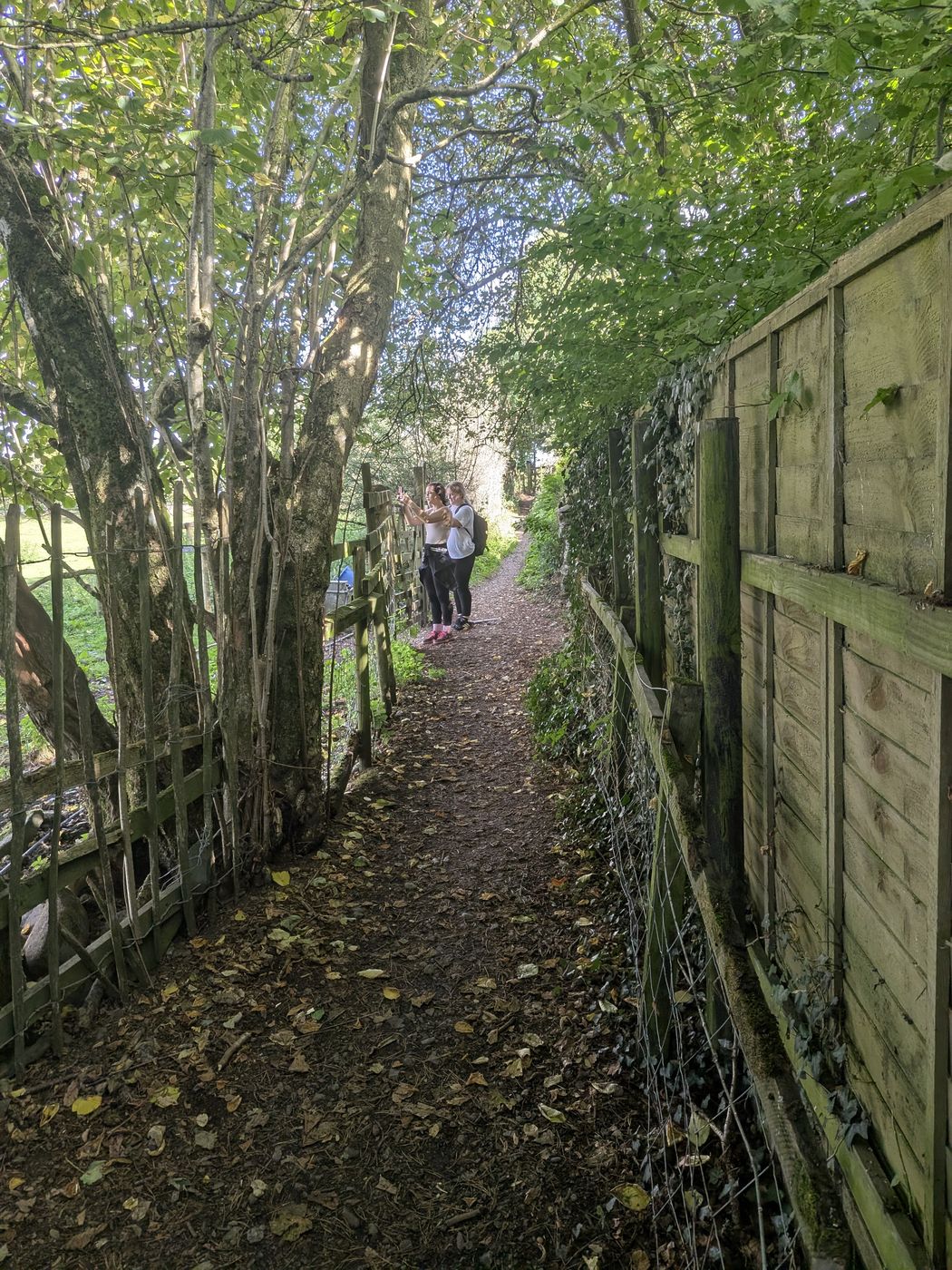 Narrow enclosed footpath beside the Castlerigg Farm campsite