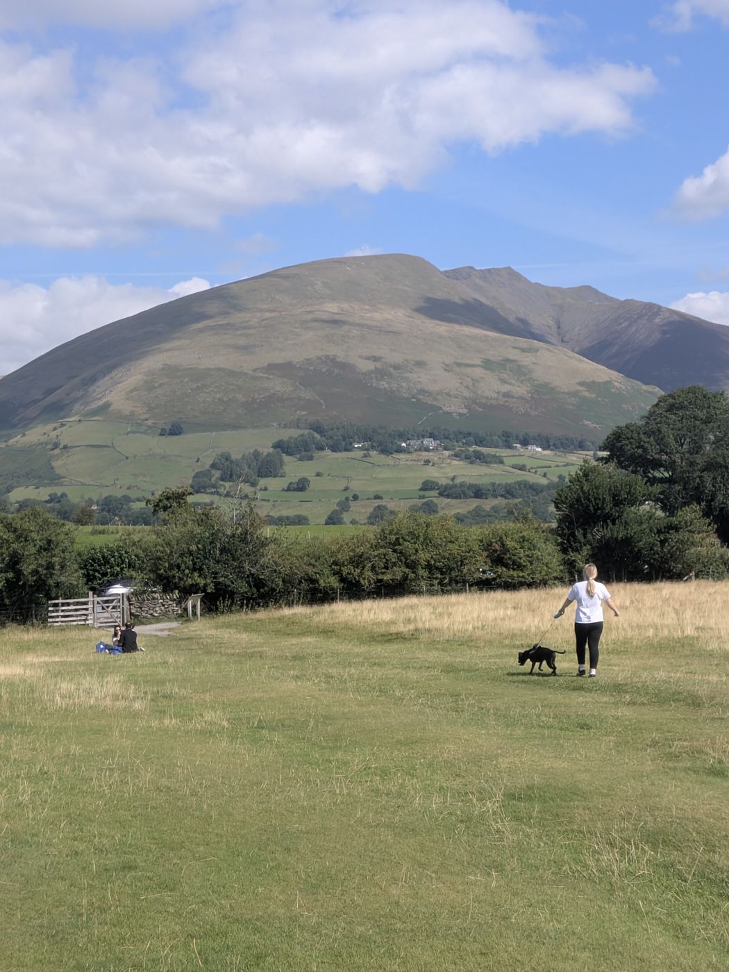 Blencathra rising behind the Castlerigg field, with a Staffordshire Bull Terrier on the lead
