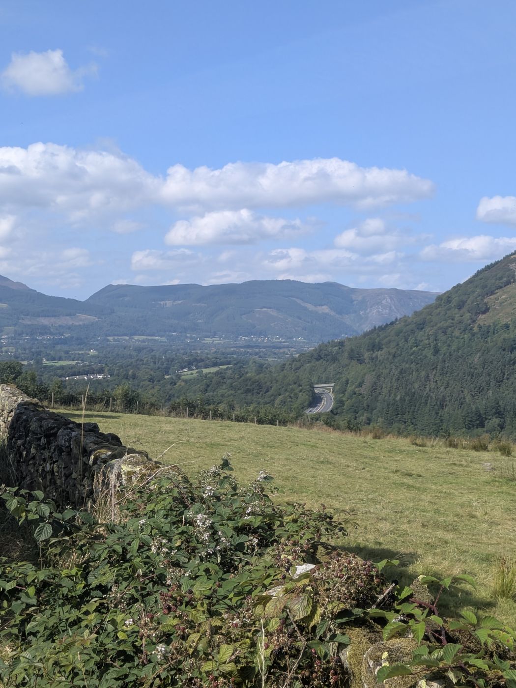 View across the valley to the A66 and the forested fells from the lane above Keswick