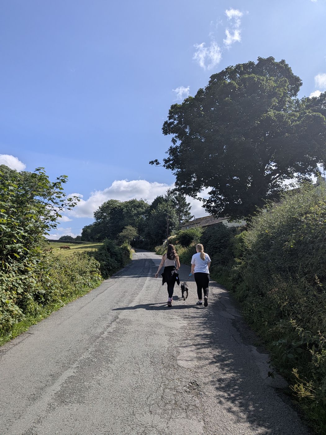 Walkers and a Staffordshire Bull Terrier on the steep lane up to Castlerigg
