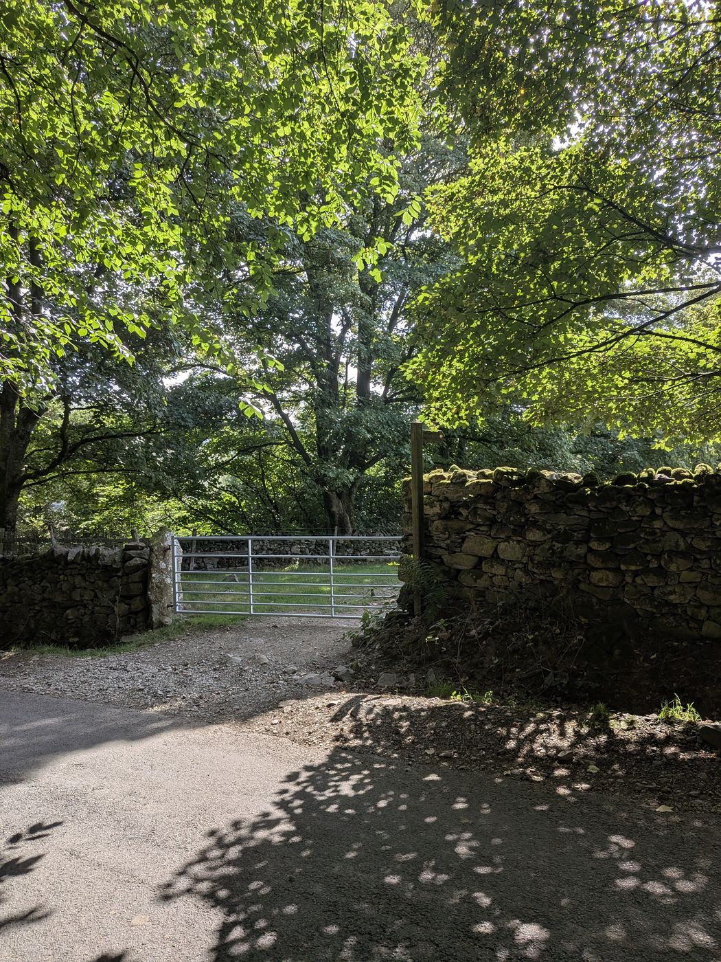 Field gate in the dry-stone wall on the lane near High Nest