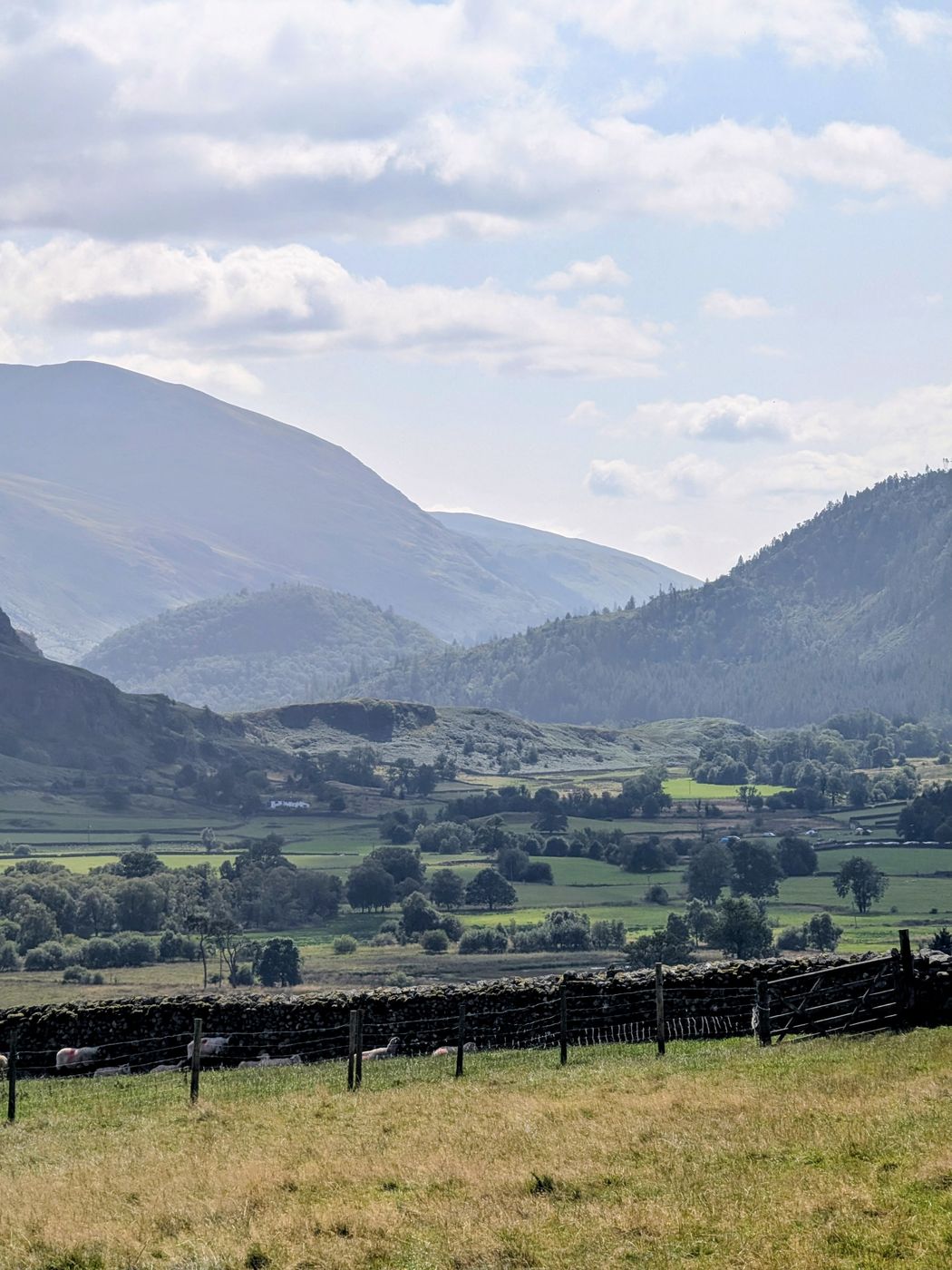 The view south from Castlerigg Stone Circle down St John's in the Vale
