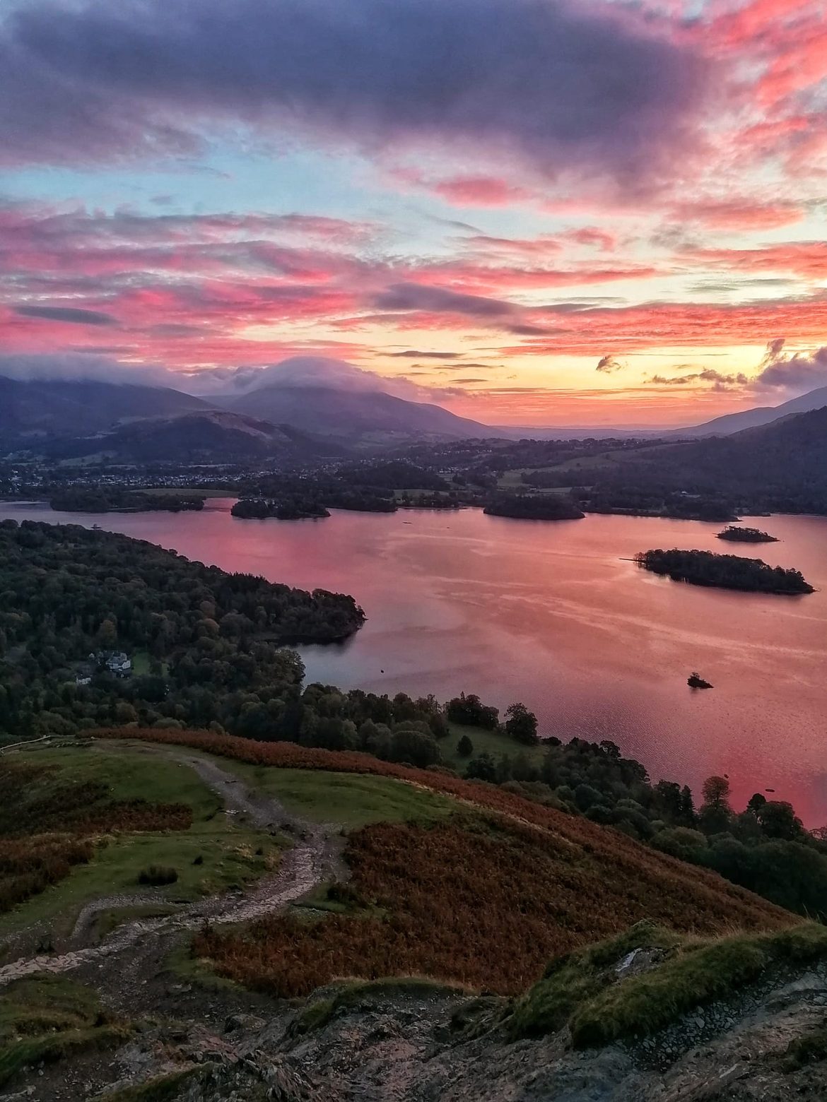 Derwentwater glowing pink under a red sunset sky, its wooded islands below, seen from the Catbells ridge, Lake District