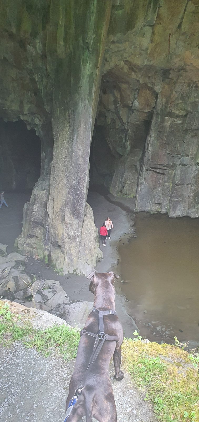The main chamber of Cathedral Cave in Little Langdale, lit by natural rock windows, Lake District