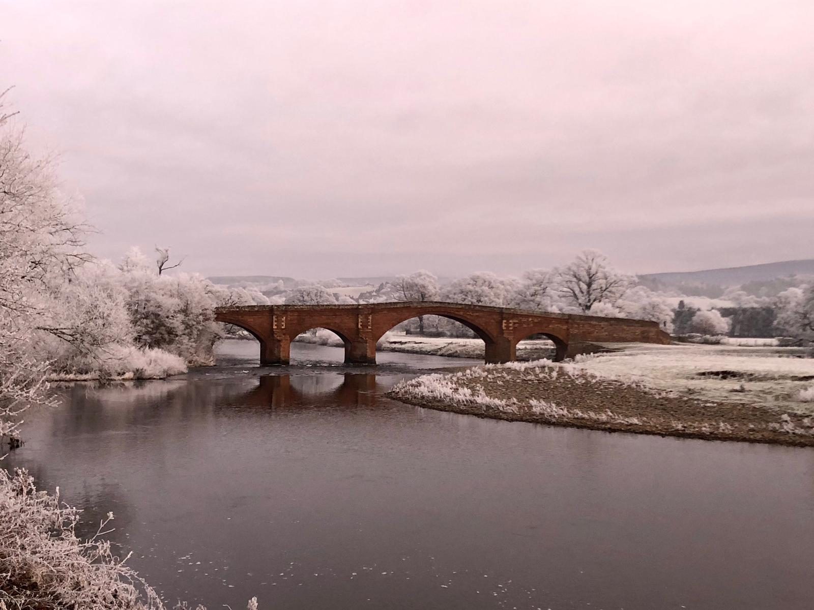 Eden Bridge in hard frost, the red sandstone arches over the still River Eden between Lazonby and Kirkoswald, white-rimed trees on both banks under a pale winter sky