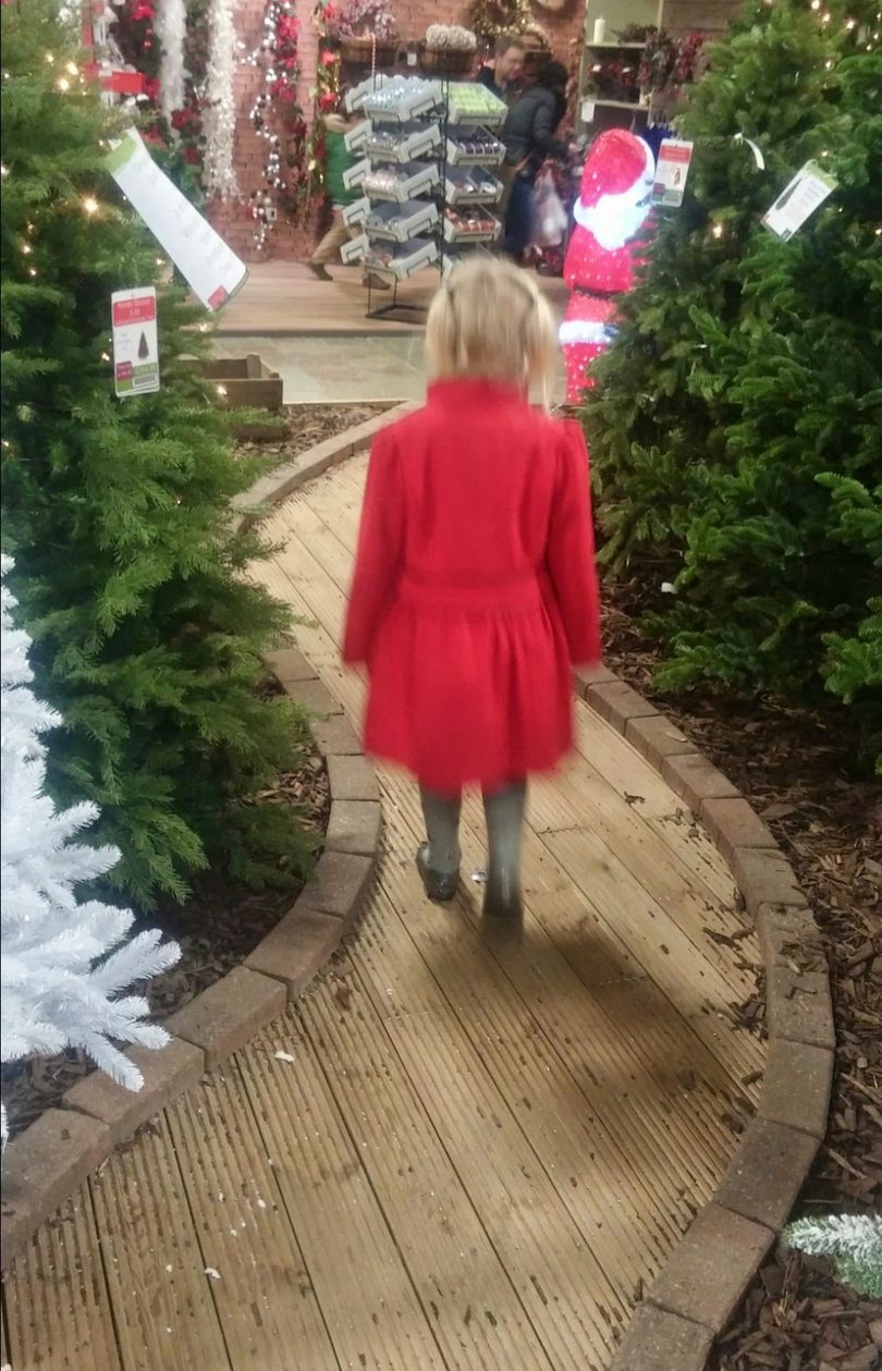 A small child in a red coat walking along a curved wooden boardwalk between rows of Christmas trees for sale at a garden centre, with lit decorations and a Father Christmas figure ahead