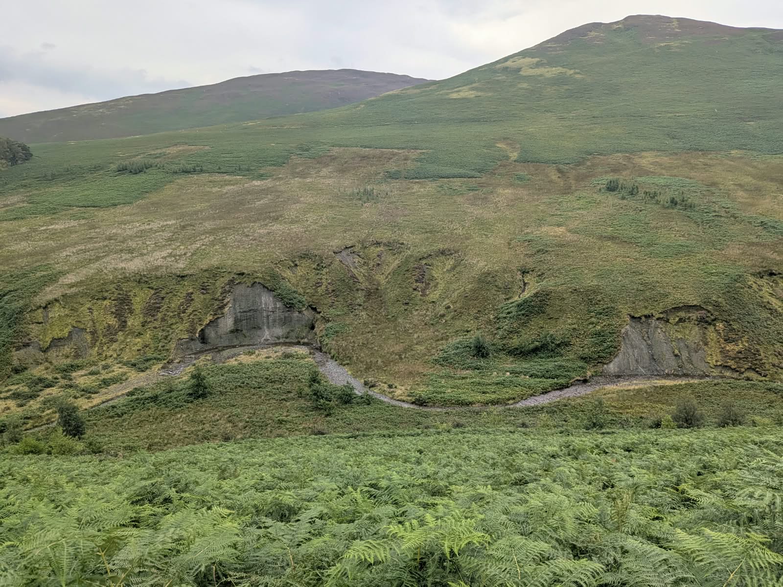 View along Coledale from the track edge with bracken in the foreground and cloud on the fell tops