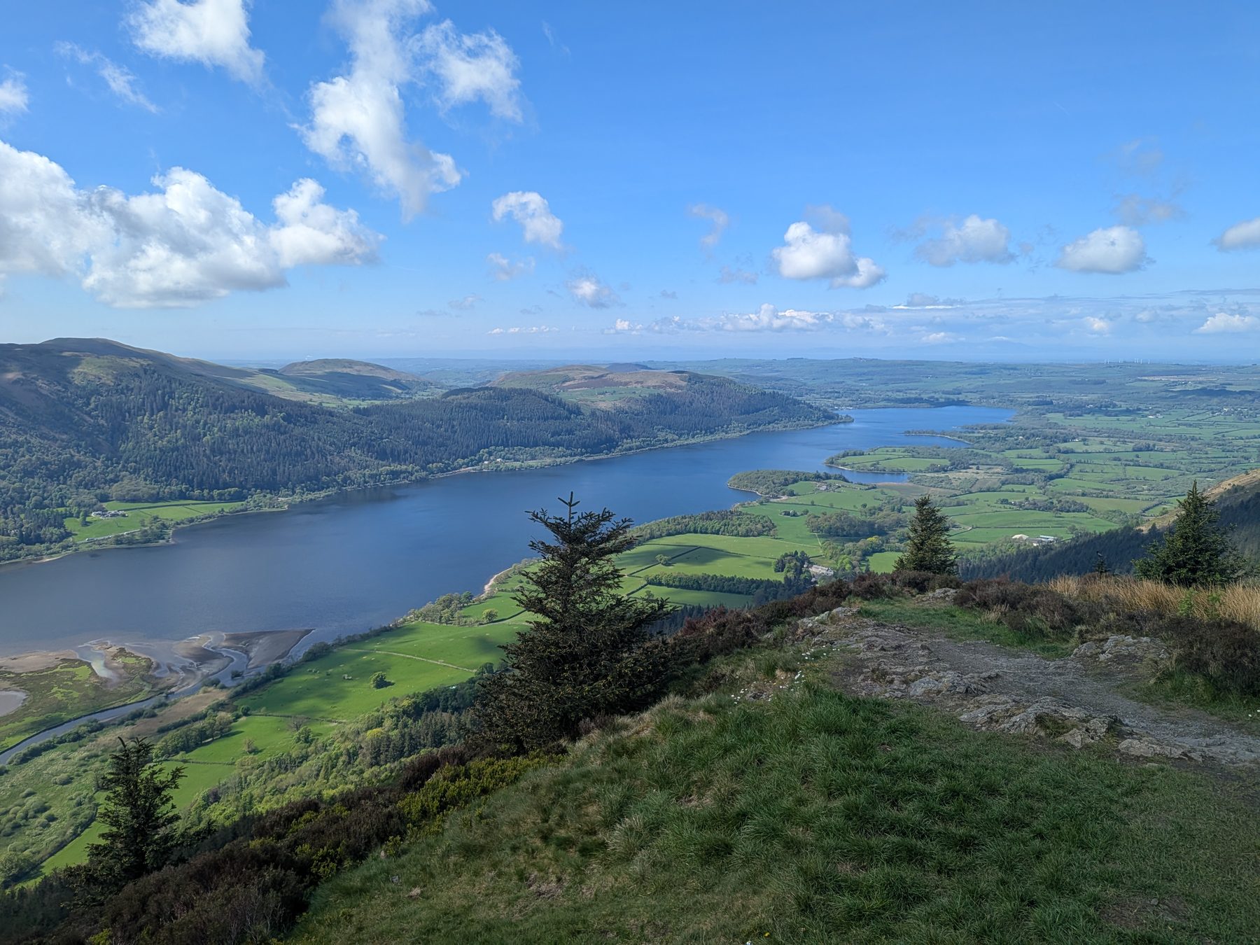 Bassenthwaite Lake seen from Dodd Wood