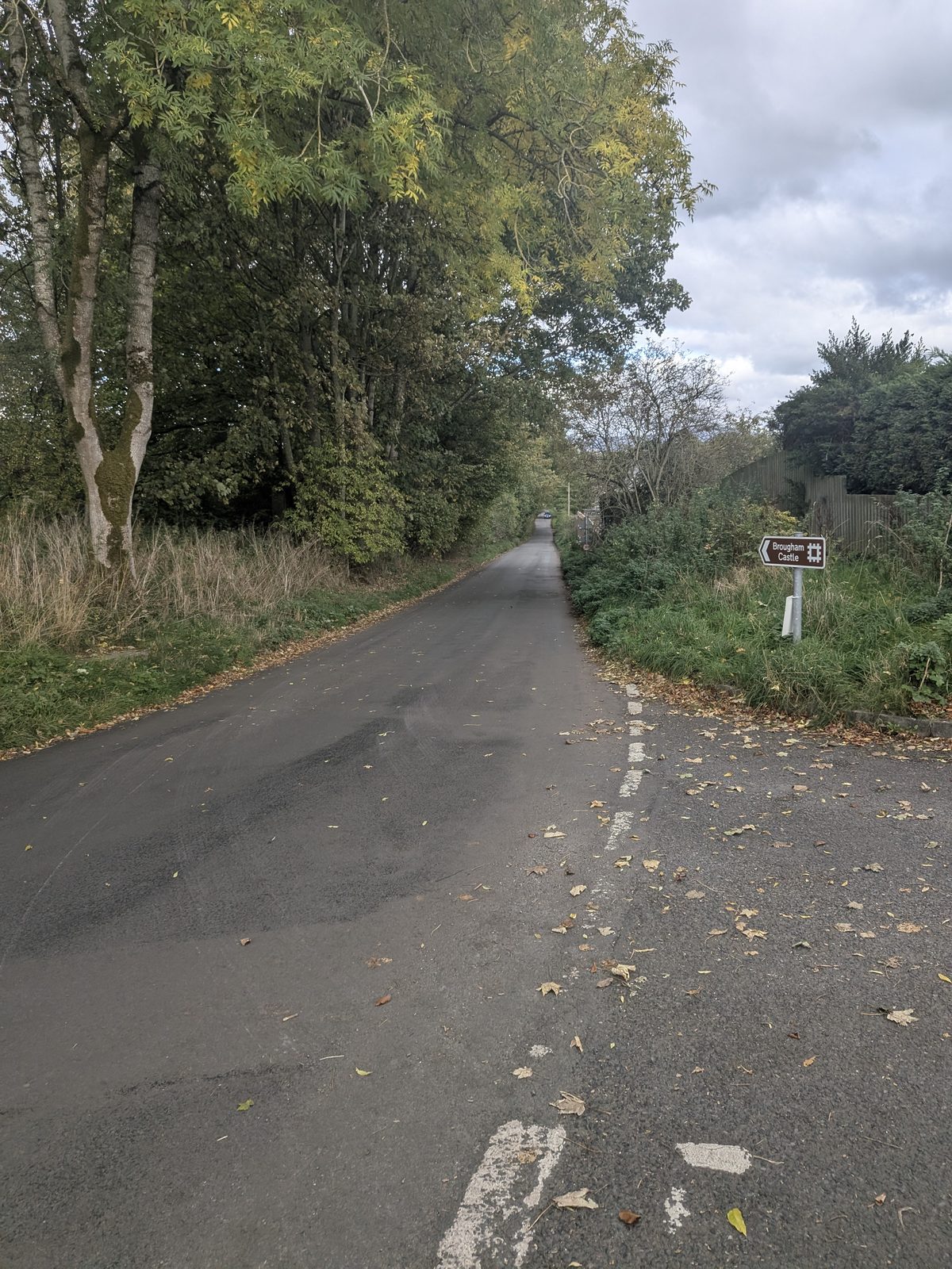 A fork in the lane below Brougham Hall with a small fingerpost on the verge