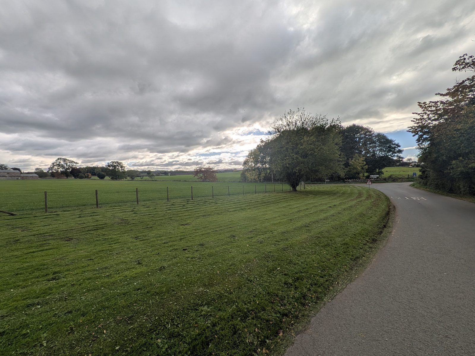 The lane curving past a mown field and a lone tree on the way to Brougham Castle