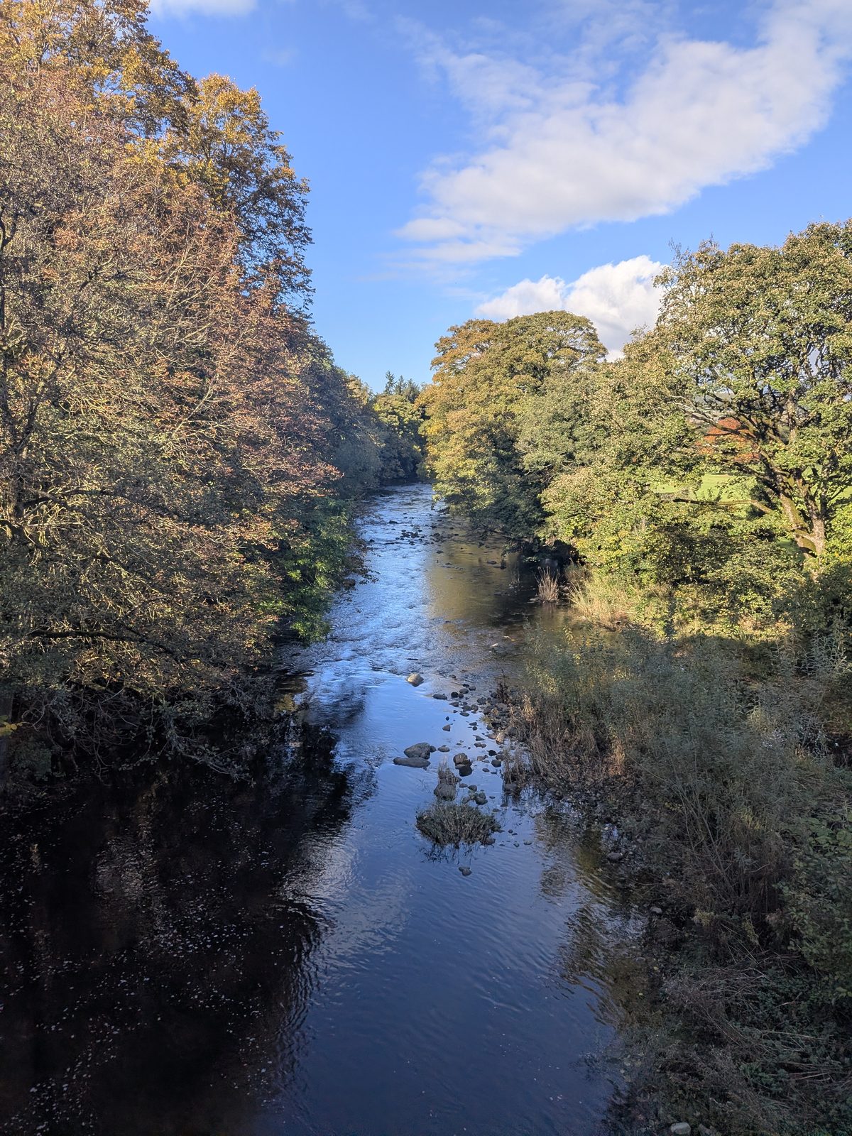 The river at Eamont Bridge seen from the bridge, running between trees in autumn colour