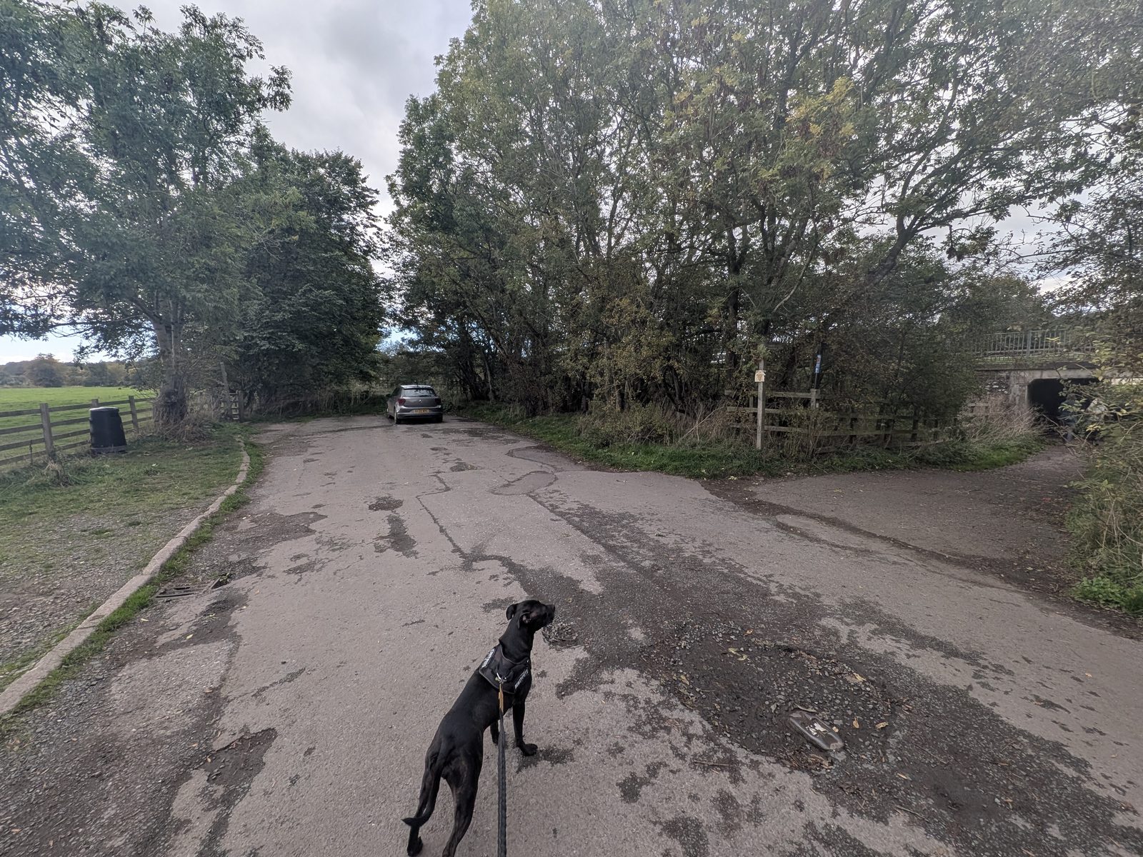 The road beyond Brougham Castle by the bridge, with Cass, a black Staffordshire Bull Terrier, on the lead in the foreground