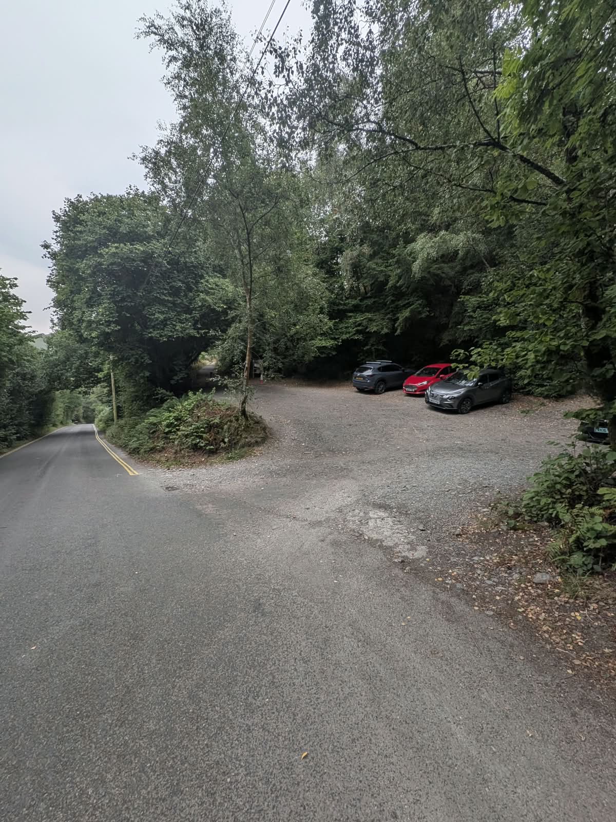 Informal gravel parking area off the Whinlatter road with space for several cars, surrounded by trees