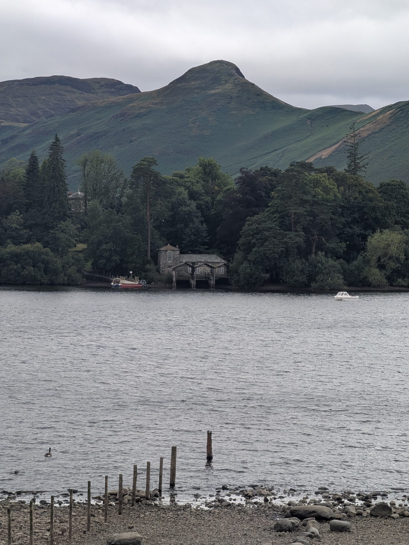 An island on Derwentwater seen from Friars Crag, Keswick