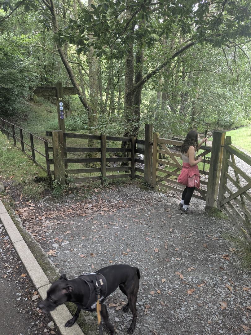 Wooden gate and fingerpost at the Glen Mary entrance to the Tom Gill path, with a Staffordshire Bull Terrier on the gravel in front