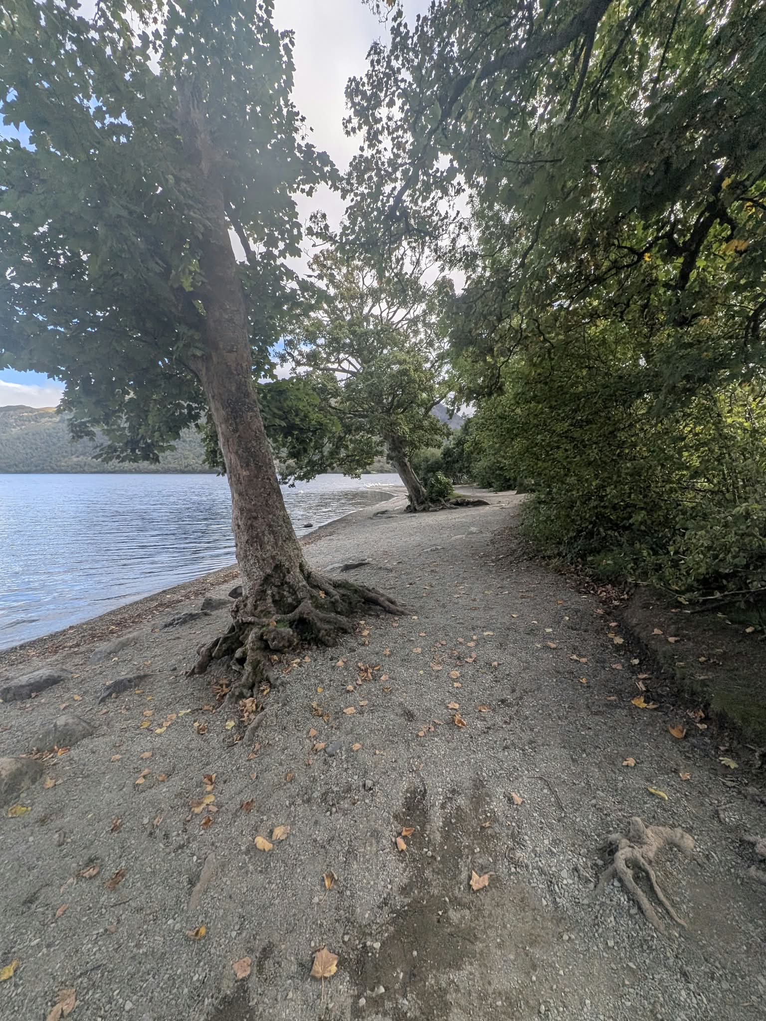 The lakeshore path at Glencoyne Bay running under trees along the shingle, with the water to the left