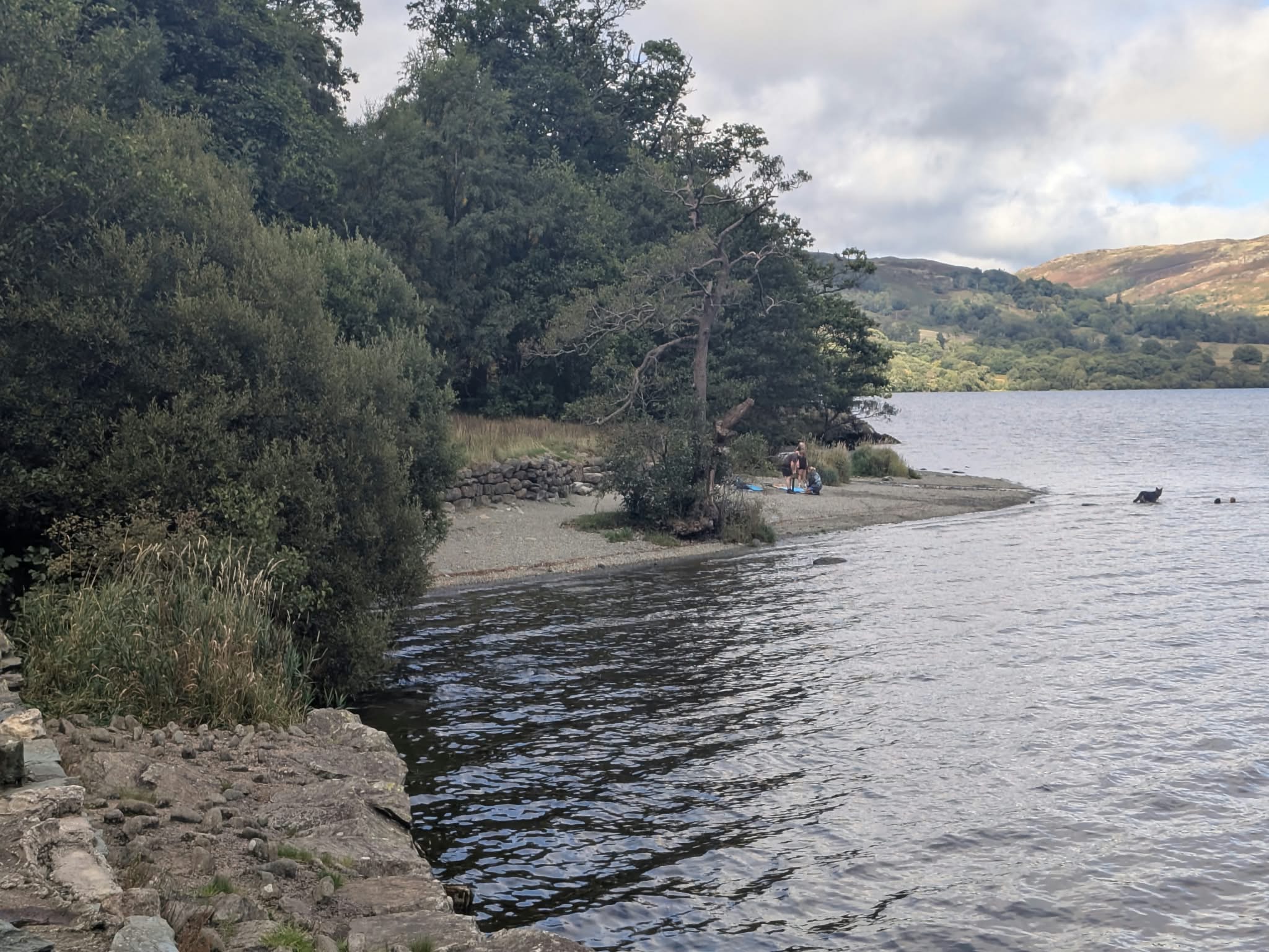 Swimmers in the water off the shingle spit at Glencoyne Bay, with trees on the point and the far shore of Ullswater behind