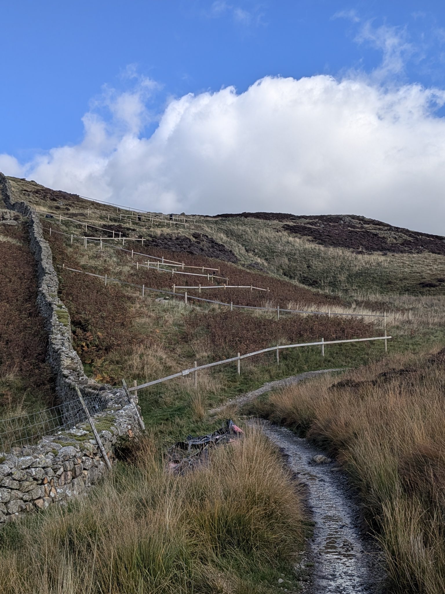A gravel path beside a drystone wall, with a zig-zag line of fenced steps climbing the bracken hillside ahead under a large white cloud.