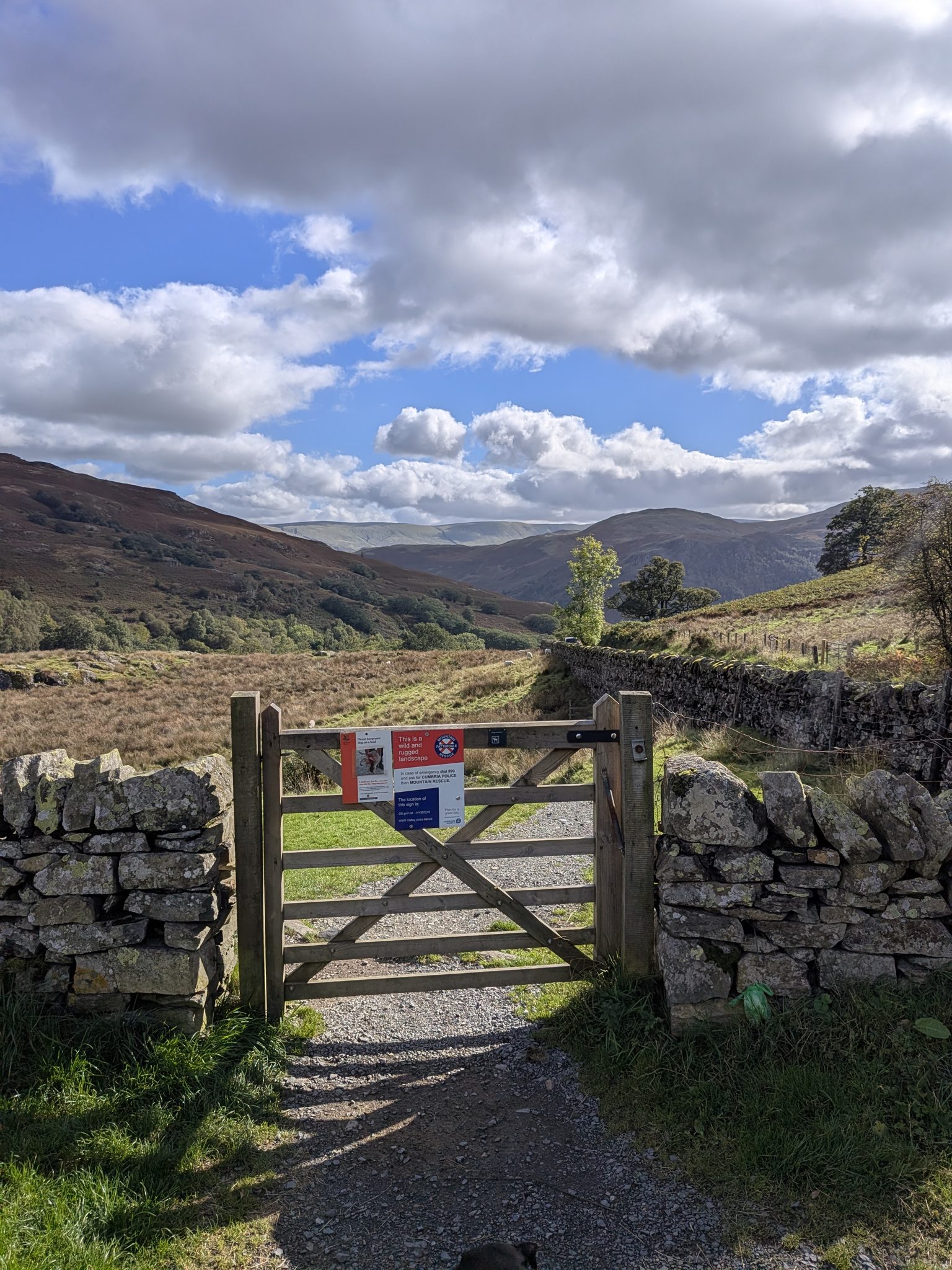 A wooden field gate in a drystone wall carrying a mountain rescue sign and a dogs-on-leads notice, open fell behind.