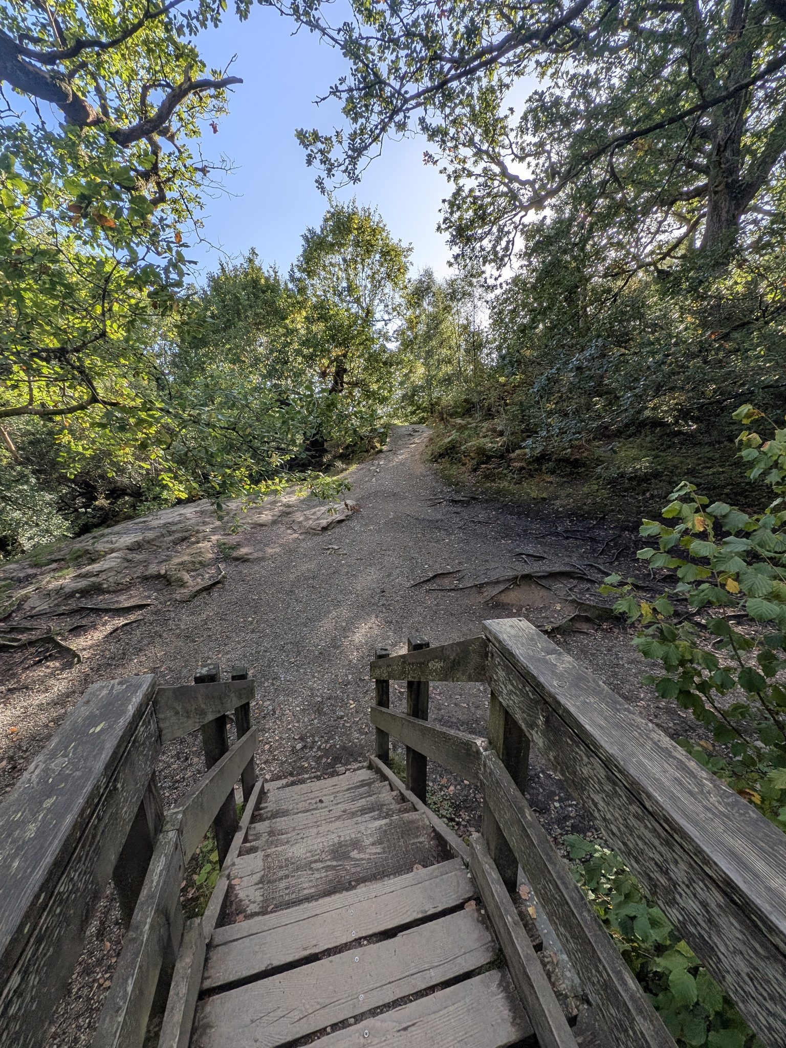 Wooden steps and handrails of a footbridge leading onto a gravel path through trees.