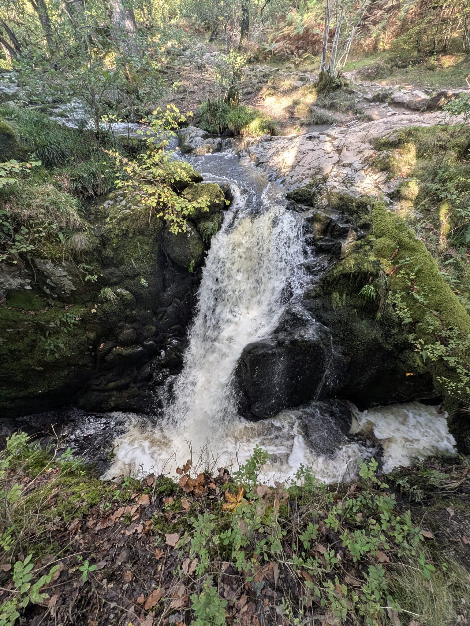 A waterfall dropping between mossy black rocks in woodland.