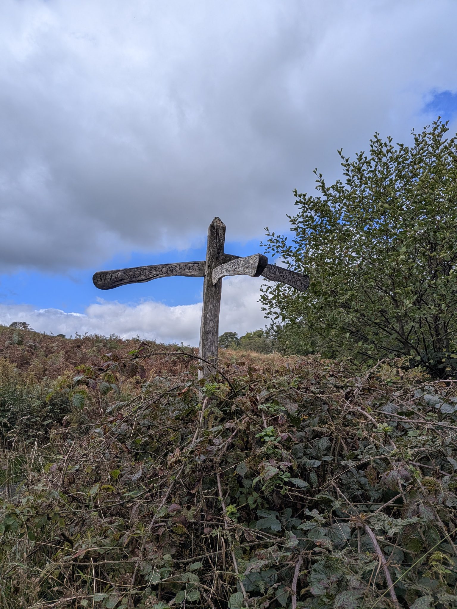 A weathered wooden fingerpost with carved lettering above bracken and brambles.